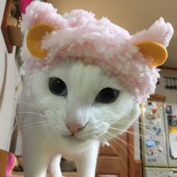 90132f43 ab31 4e3d 9c64 b7bb79b0b943