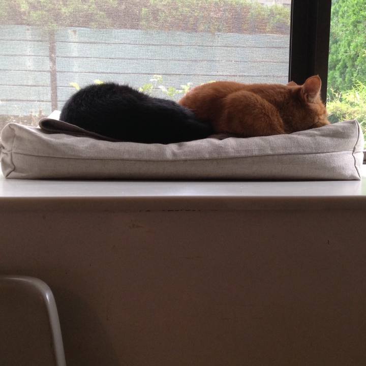 90135451 34c5 40c6 a4fe 6c180ac5477e