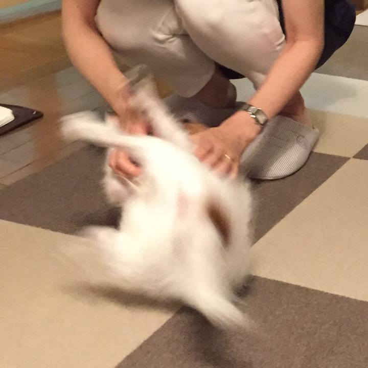 9013b35d 2a12 42f8 8ddb 039be547a8c3