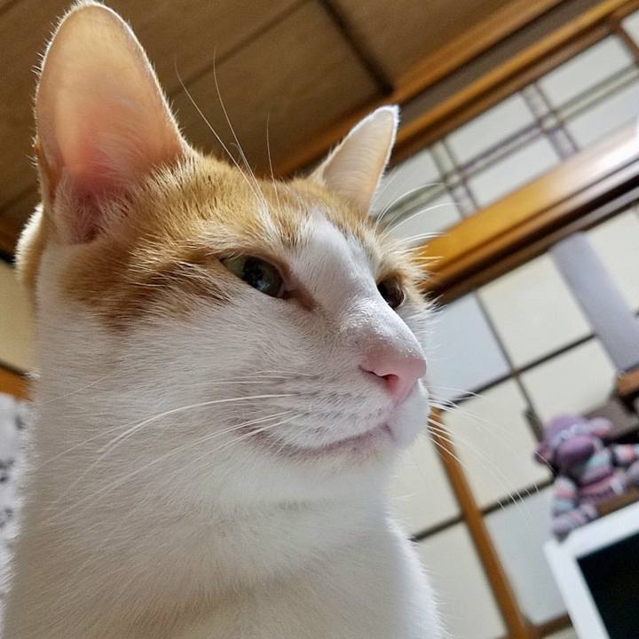 90142661 5308 4d88 ad37 8b1e89402cb3