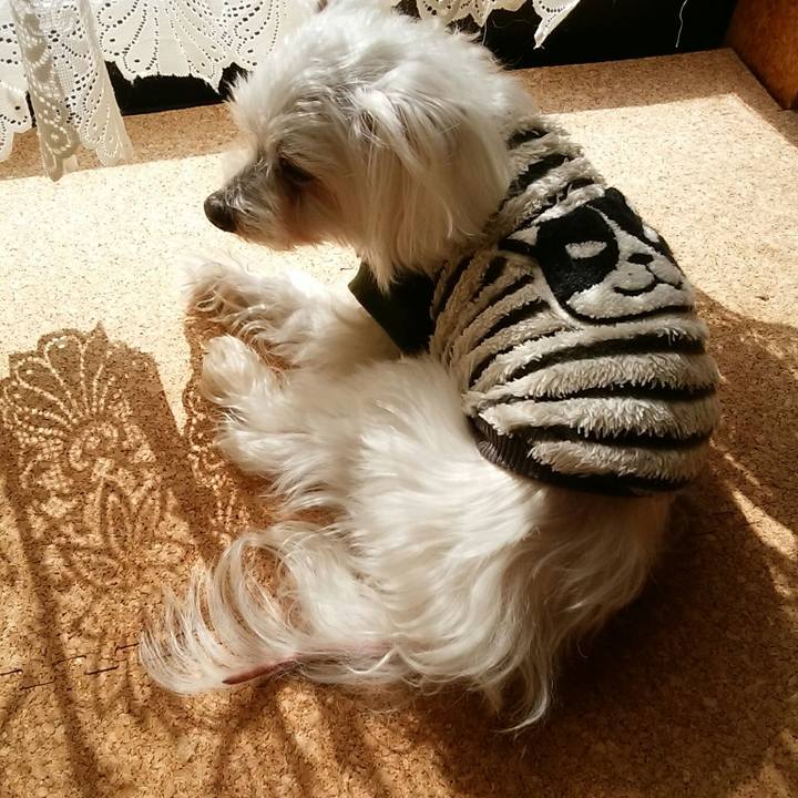 9015150a fddc 46c0 9710 43c9ec80b2a6