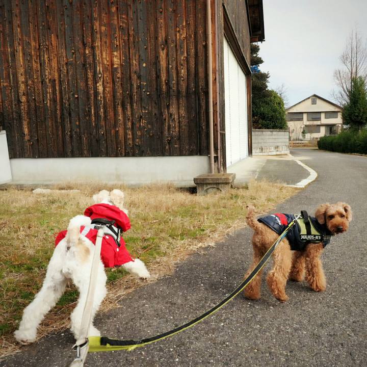 90154a0d 6cb4 4229 8f6c ab3d6eff3240