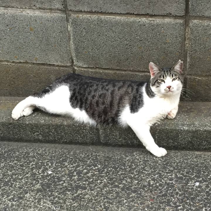 9015d71f aac9 4b41 8700 637c63c9b0c0