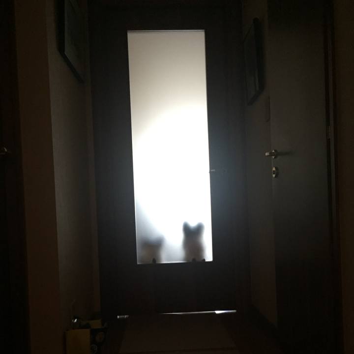 9016115b 864c 4e7b a035 d3285fae7aae