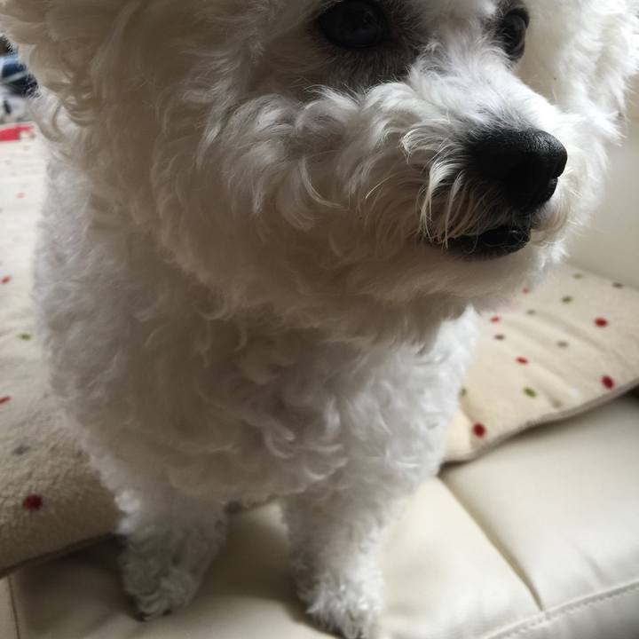 9016511a e004 49d6 ac05 9e3e2b5b0ed0