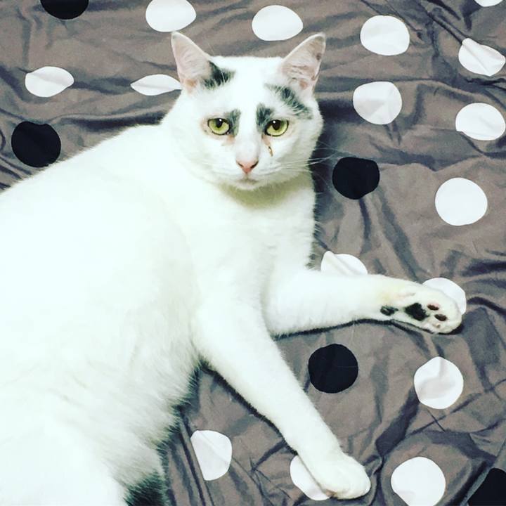 901663c6 5c39 4884 a11a 77097f4a7bbd