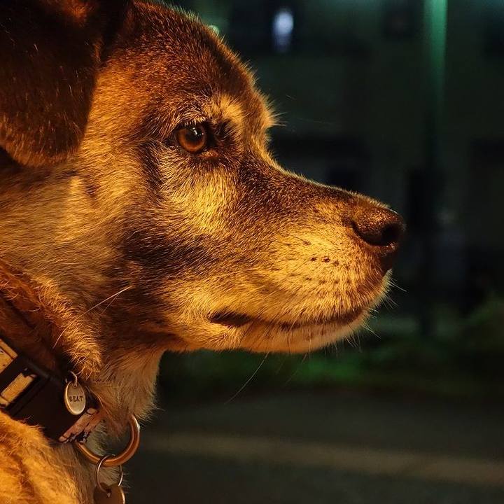 90172b9a a70c 4dc7 a89d 1db7ad88a798