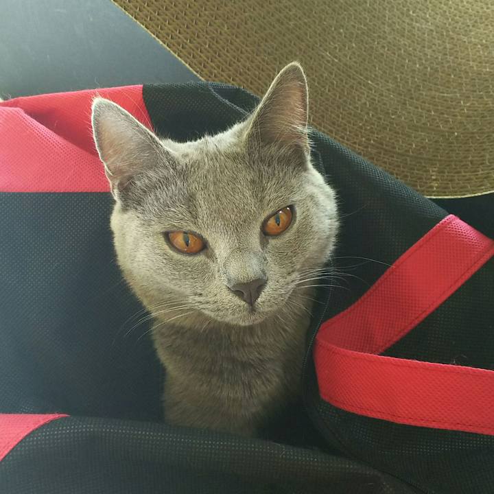 9017666f 0f0e 459b 8b01 05b99ca088e1