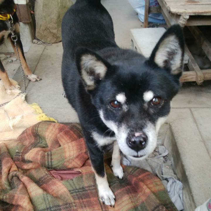 9017a83e 32cb 4881 ae2b 4542d639144e