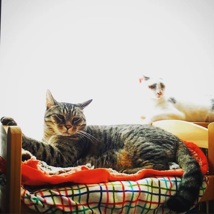 9017af0b ff09 44cb b50f 10745a3607f3