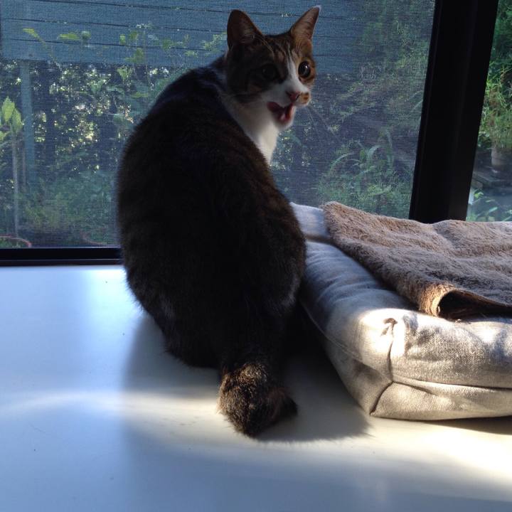 90181207 8a12 454e a3bf 3ca0eece6c01