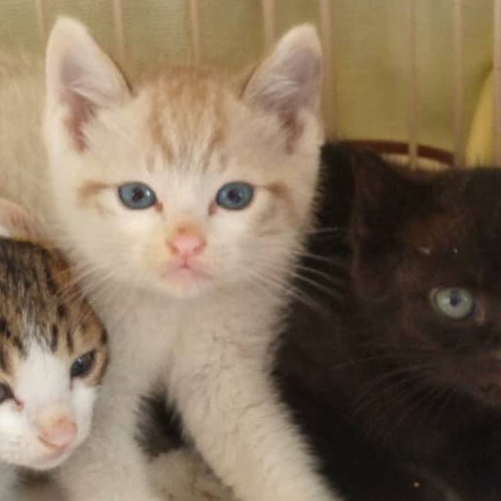 9018ac50 b411 4e3e bec9 af8d65b36865