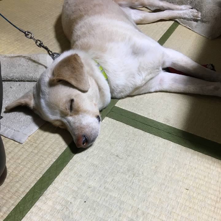 9018e45b 6410 4812 863c 7310355a5bd5