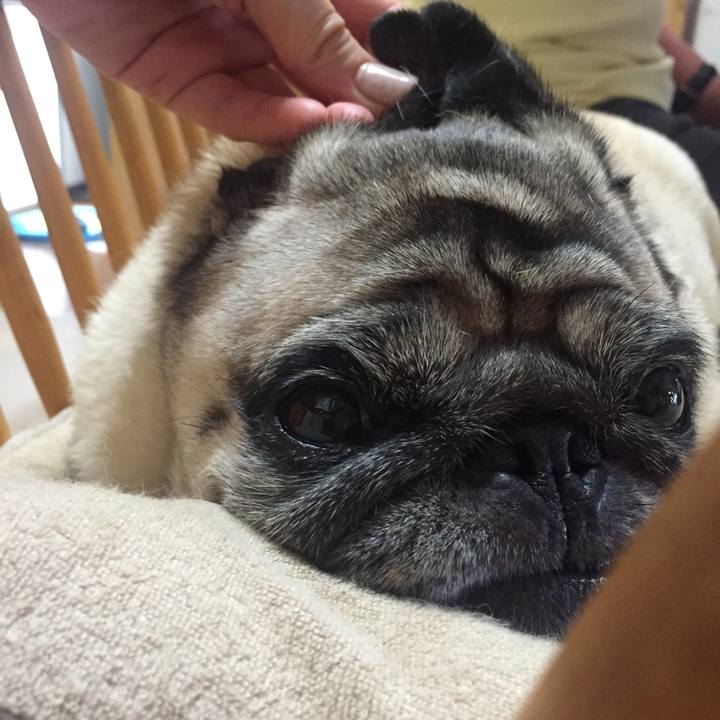 9018fe7d 0dc9 477e 9f04 4c85ccd129e1