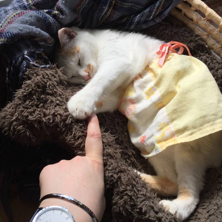 9019b7d2 7a71 4a86 94b0 b531a4cfaa04