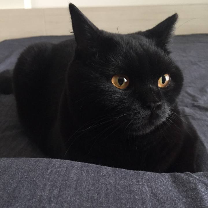 9019ca5c 734d 4eb8 ae74 915394976d0d