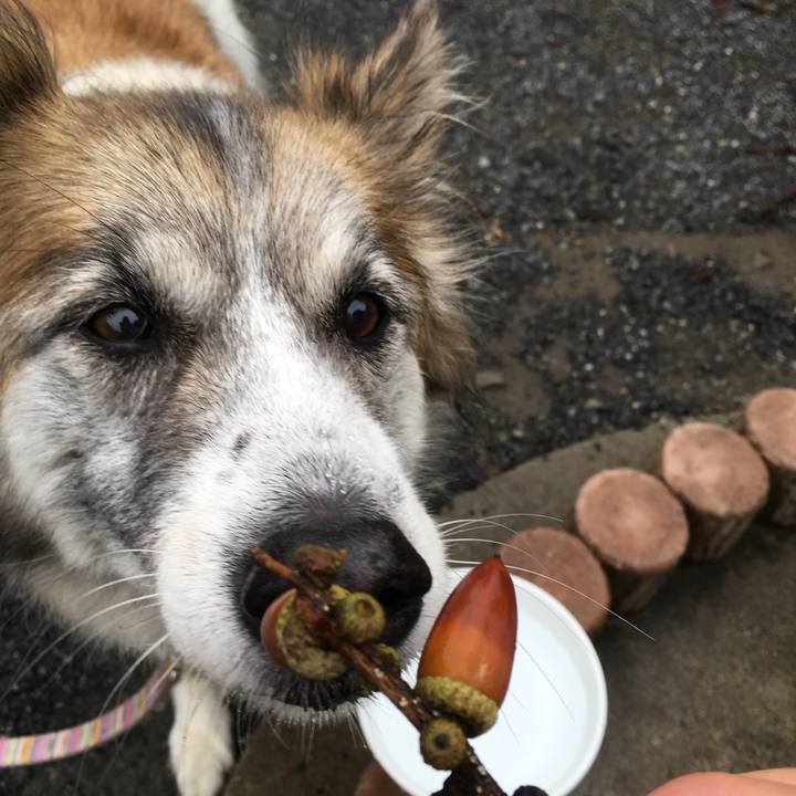 901bb4ff 9dff 428b ad1d 66e45fe37fe8