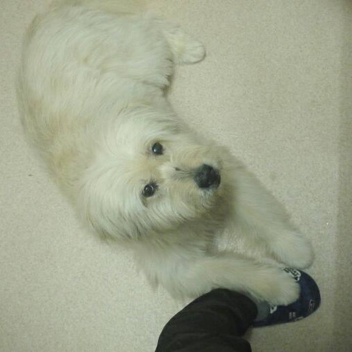 901d213a 2ab8 4d7f 9655 cb85d4c5a0a1