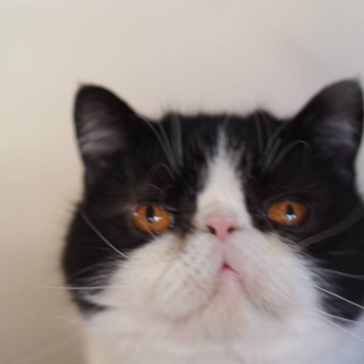 901d434e c58b 438d a287 7940957bb4be