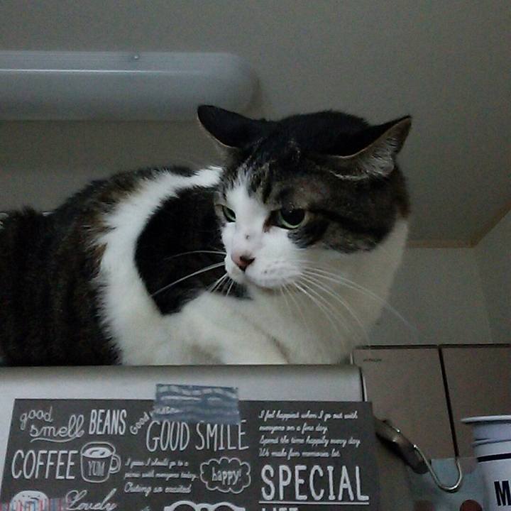 901e5a63 2db7 4f7a b605 13ad9f77ecc9