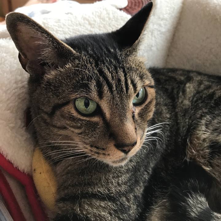 901e860a b480 4707 9f5a b78b725fdbf2