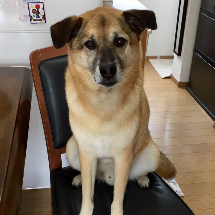 901ee236 a9fe 4894 8489 2a395894b44c