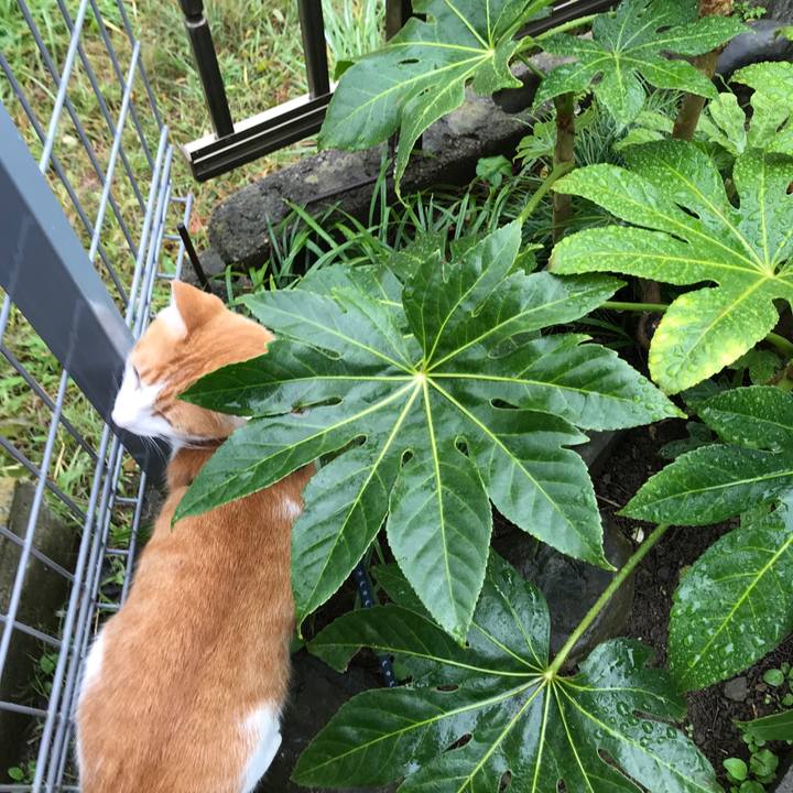 901ee38f b8fe 40fa 9568 4e3d0f4a38f6