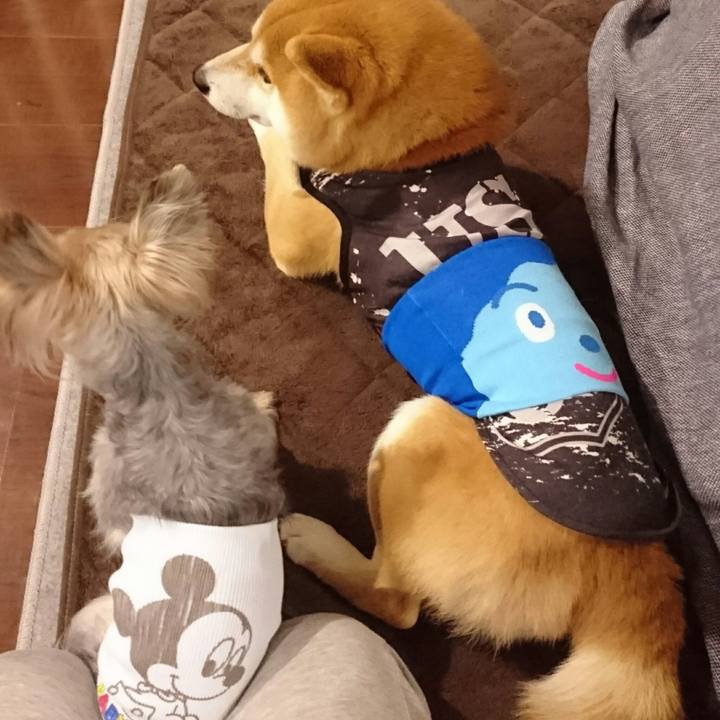 901f7dcb a10b 43a0 a621 1b7e44b060a0