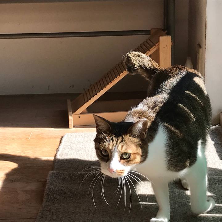 901f8ce9 5f82 456b 9af9 57347059b456