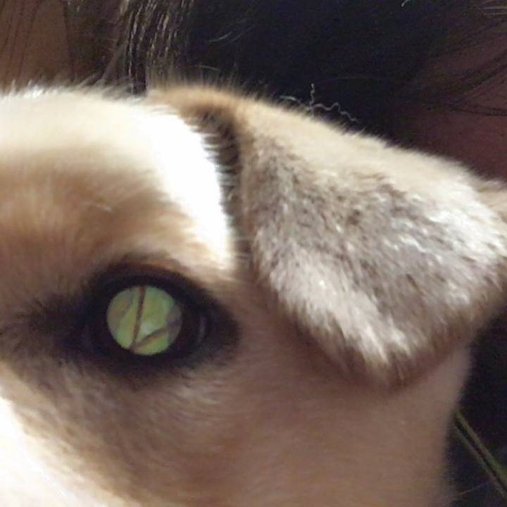 901fec21 590f 41e4 83bd 1363debb36bd