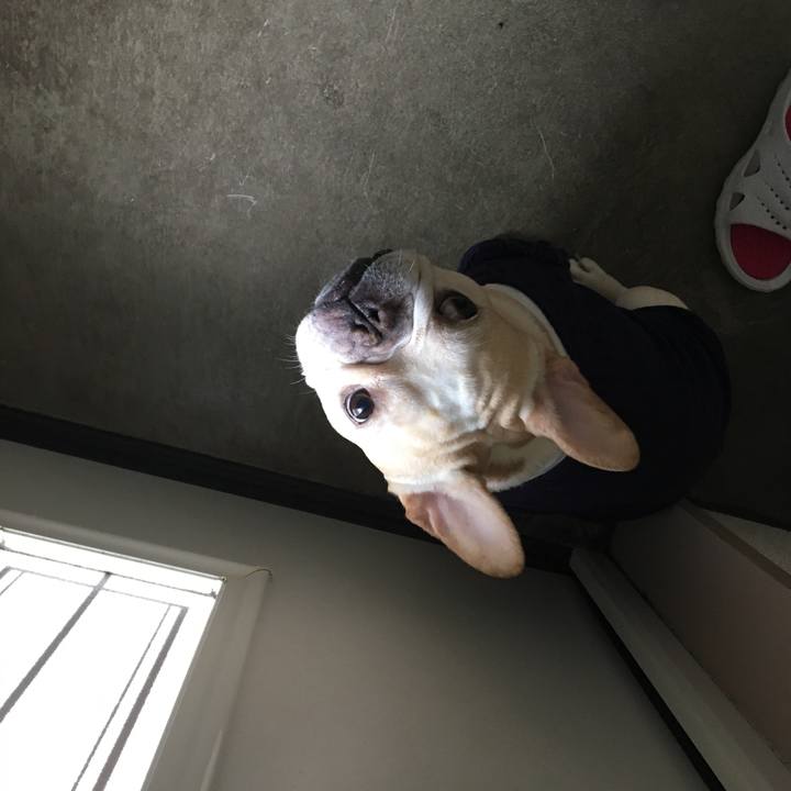 901ff0ee f19c 41f3 adcd 9595de8387a7