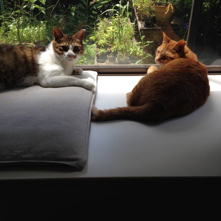 90200237 0428 4e25 a95e 9571465fdc66