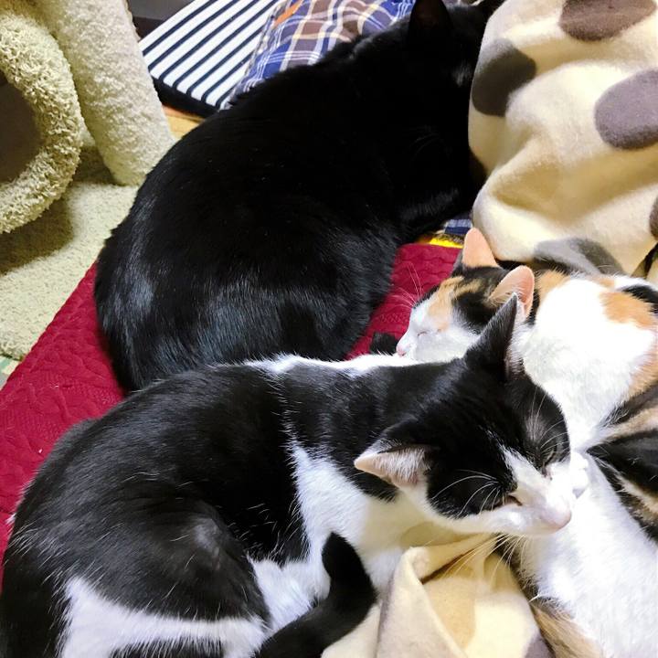 9020a21a f53a 4295 a927 7a5b7a09863d