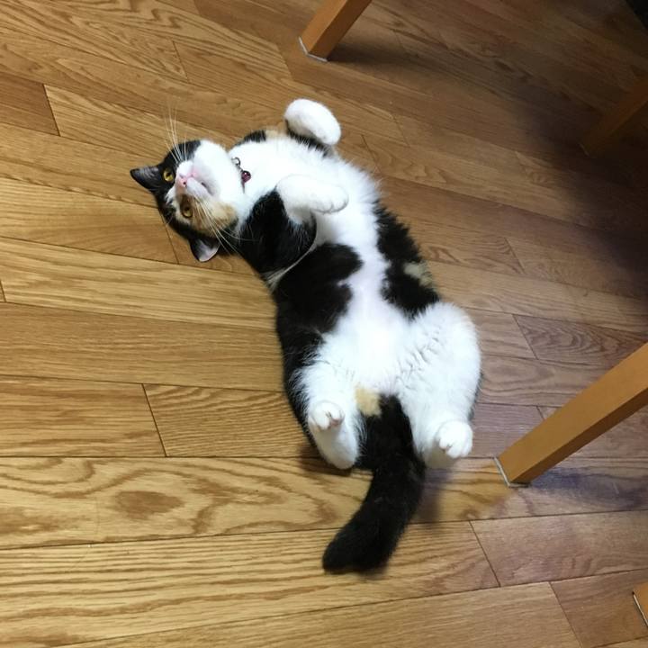 9020a366 eadc 49a0 a7c8 3e6fd21abffa