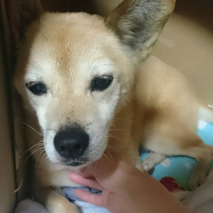 90213e5f 7f78 4744 aff1 9ef3e60bdf7f