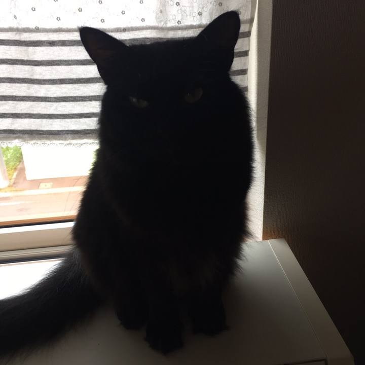 90224823 5edc 4449 9628 ce72c9977c99