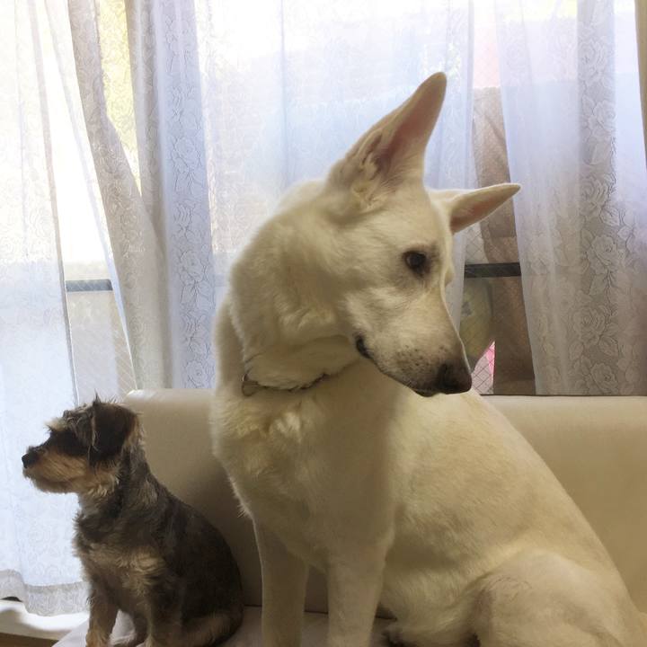 90235ff7 c98d 477a 9703 574af5c41018