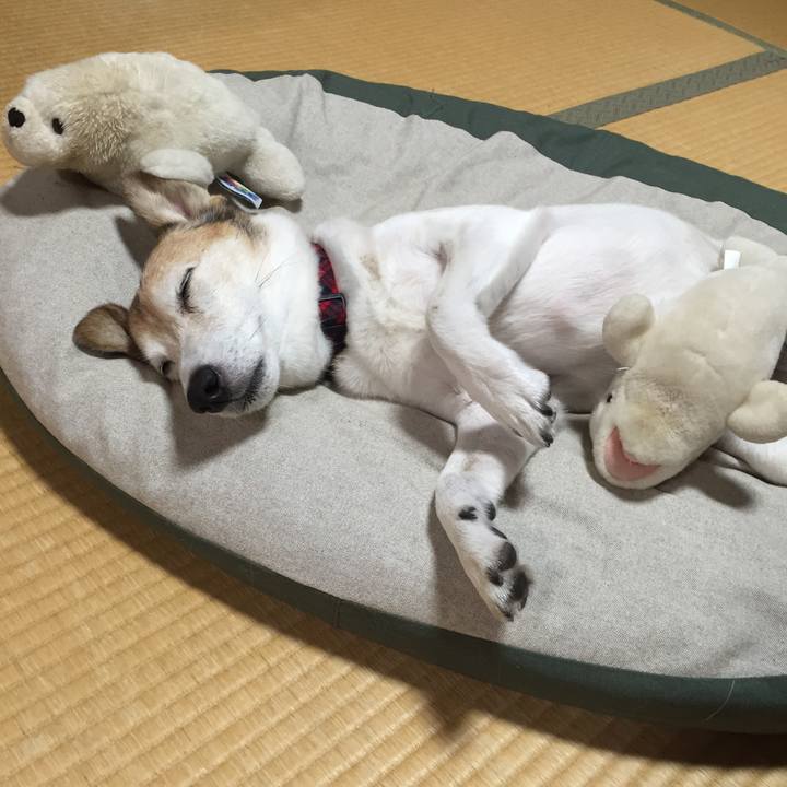 90236e80 871c 43e8 a3fb 5cf628057524