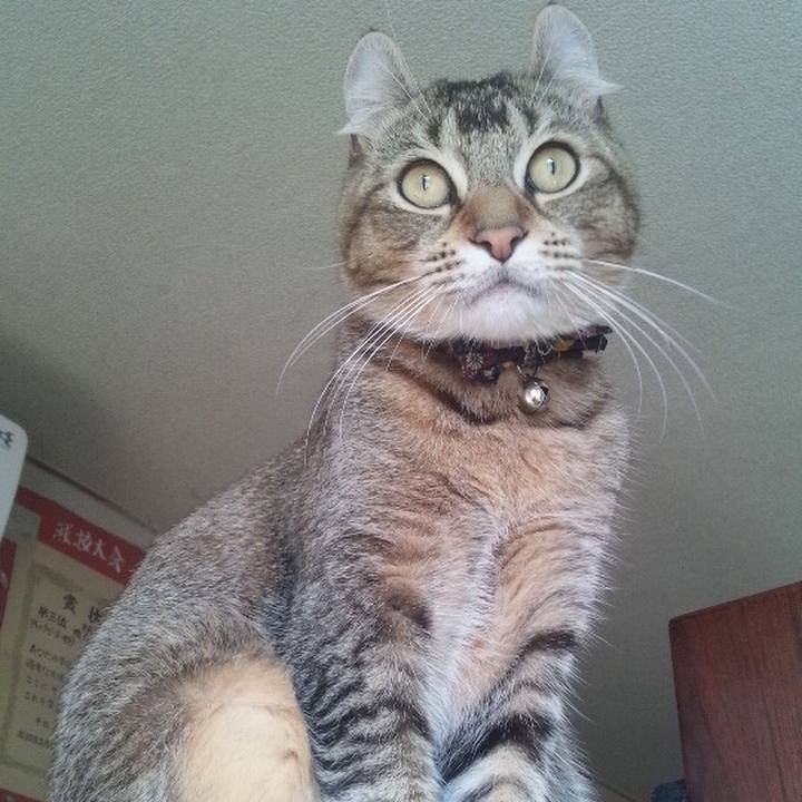 902399fc 7045 4c31 9b4b 06b2662fc9e3