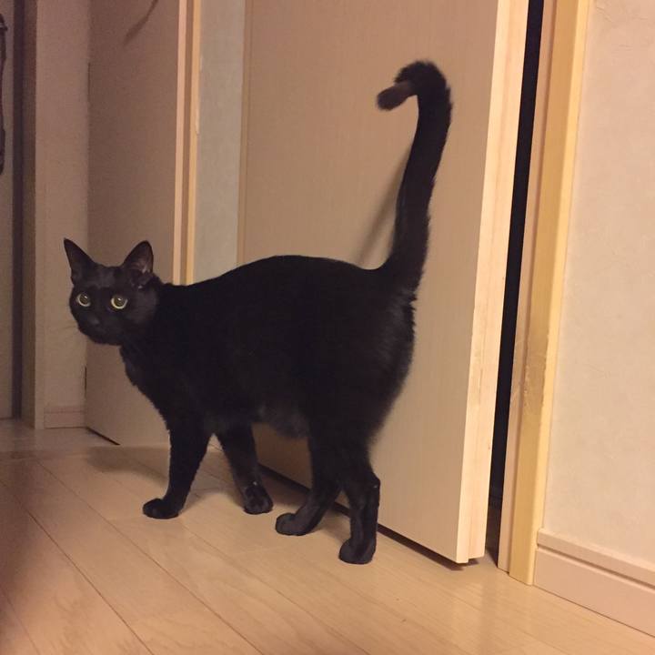 9023d2ef 6626 46bd 878b 4fd826081d9c