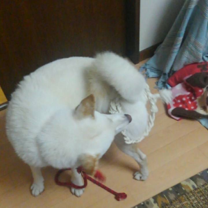 9023efa8 edd1 43d0 9136 0dafd334761a