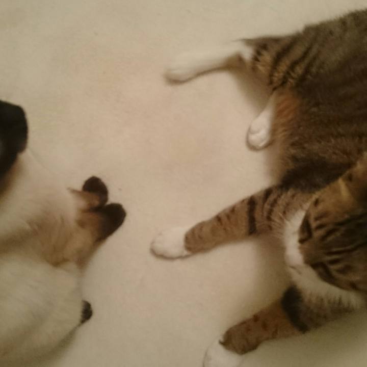 90248742 7f83 4bc4 94aa 3893e6ba18f7