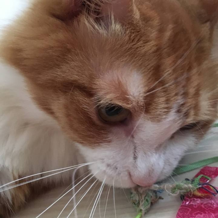 9024ddf5 fe7d 42ff 826b e69999d811fe