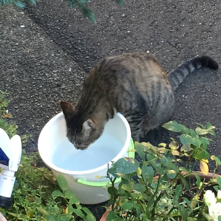 9024e591 24fe 435f 81c5 75e343772a47