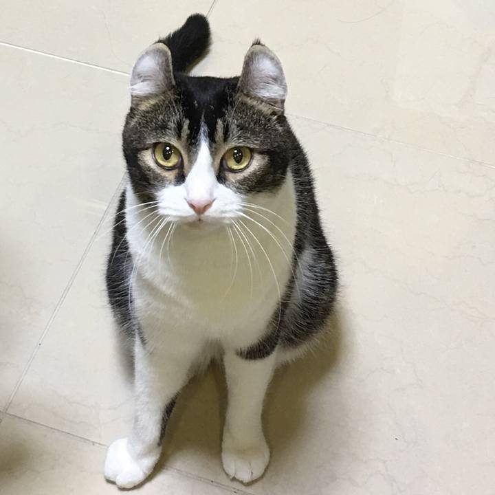 9025026a 9a54 4524 a783 3f437b0b3a92