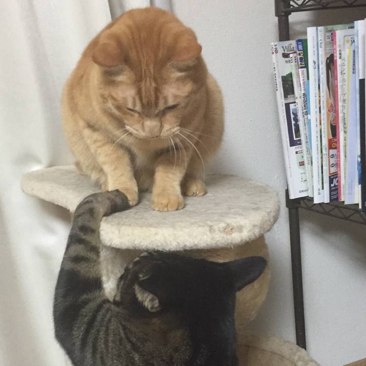 9026c04b c0b5 445e aac9 992b7181f847