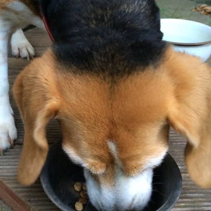 9027576f 5e43 40e7 8844 6d1bcd8a2e14