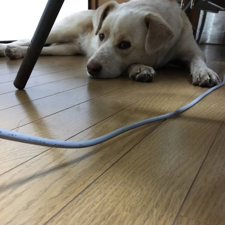 9027832e cb27 47de 96c4 48a8e4793216