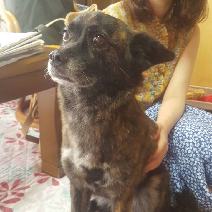 9027b379 6acb 49cd 92d7 9dd57fb8c864