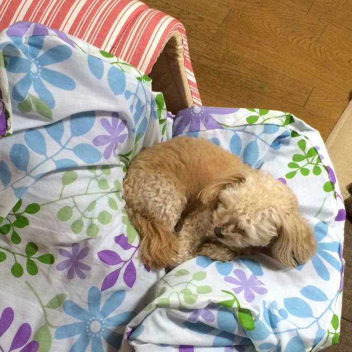 9027db95 aeb3 4624 bbee 7ab8019f2f04